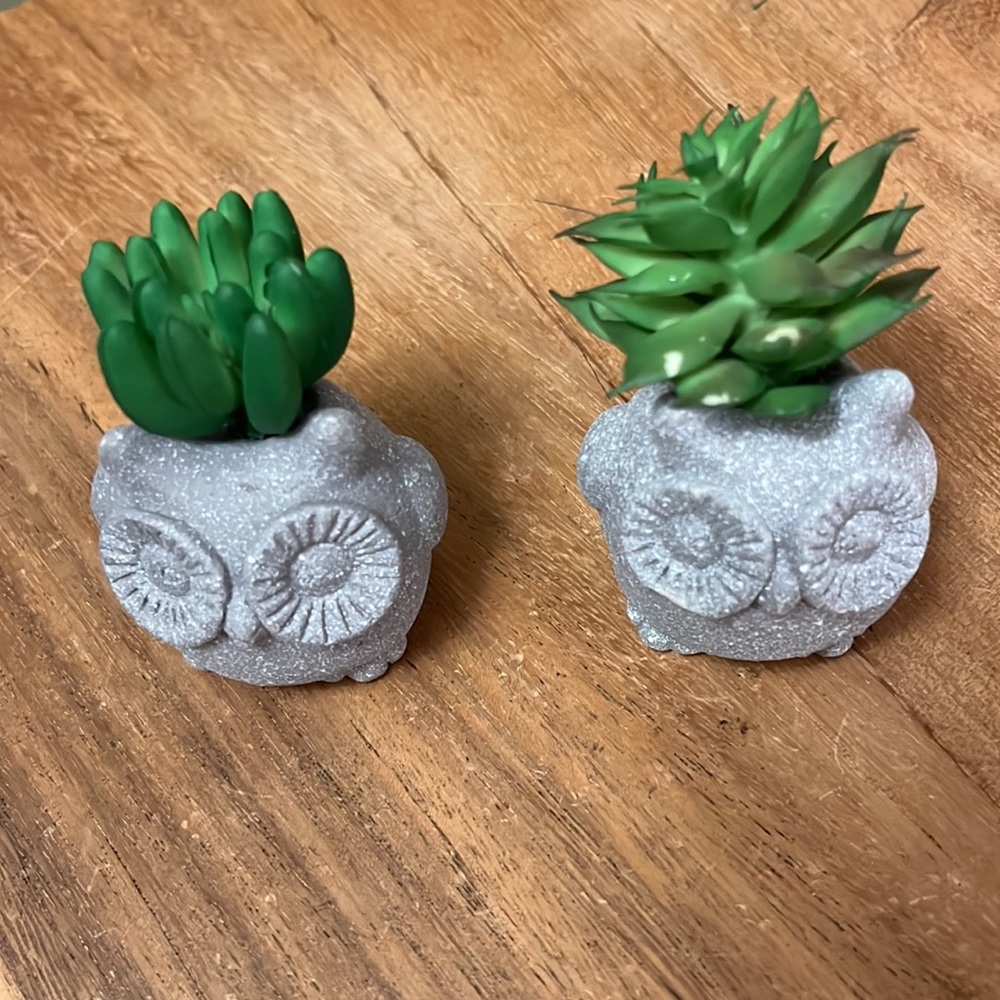 Miniature Owl Statues - Picture 2 of 5